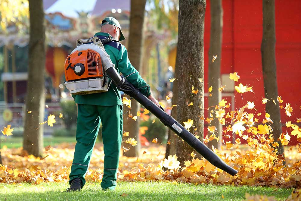 Working in the Park removes leaves with a blower